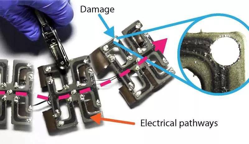 用材料構成的軟體機器人？將應用于醫學，還是另一個武器雛形？
