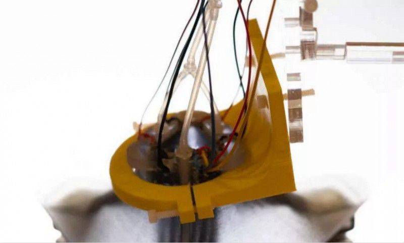 美顏魔術師，廣東埃華路引領金屬表面處理應用場景量產落地