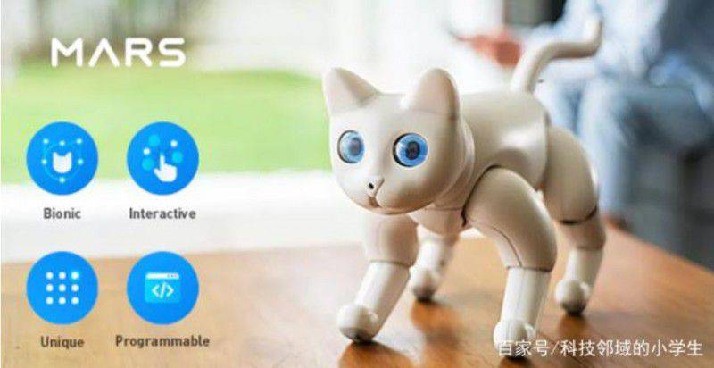 2020CES展會上,除了寵物機器人、居家機器人外,還有它